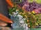 carousel chooser